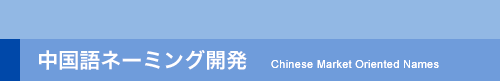 中国語ネーミング開発