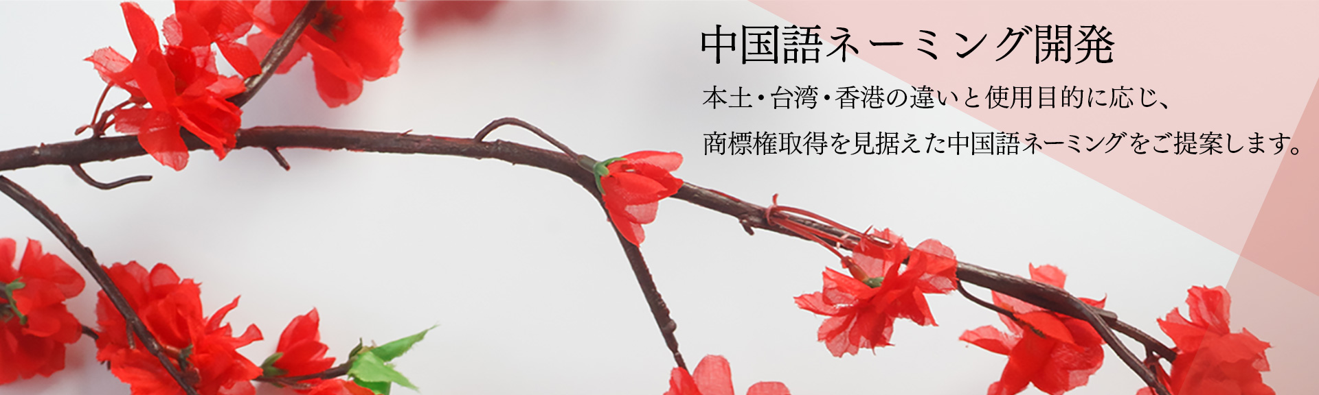 中国語ネーミング開発 本土・台湾・香港の違いと使用目的に応じ、商標権取得を見据えた中国語ネーミングをご提案します。